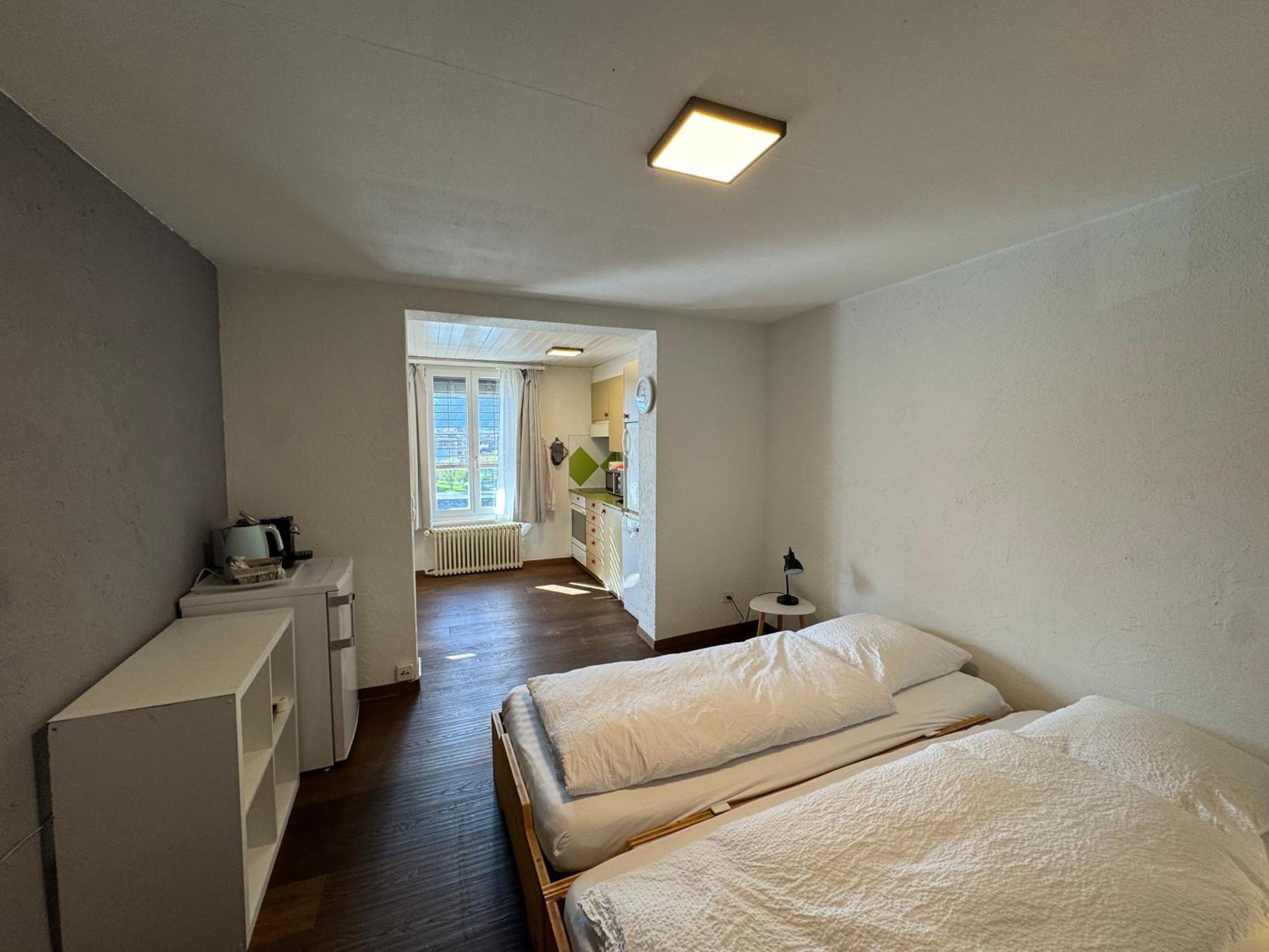 Downtown Apartment